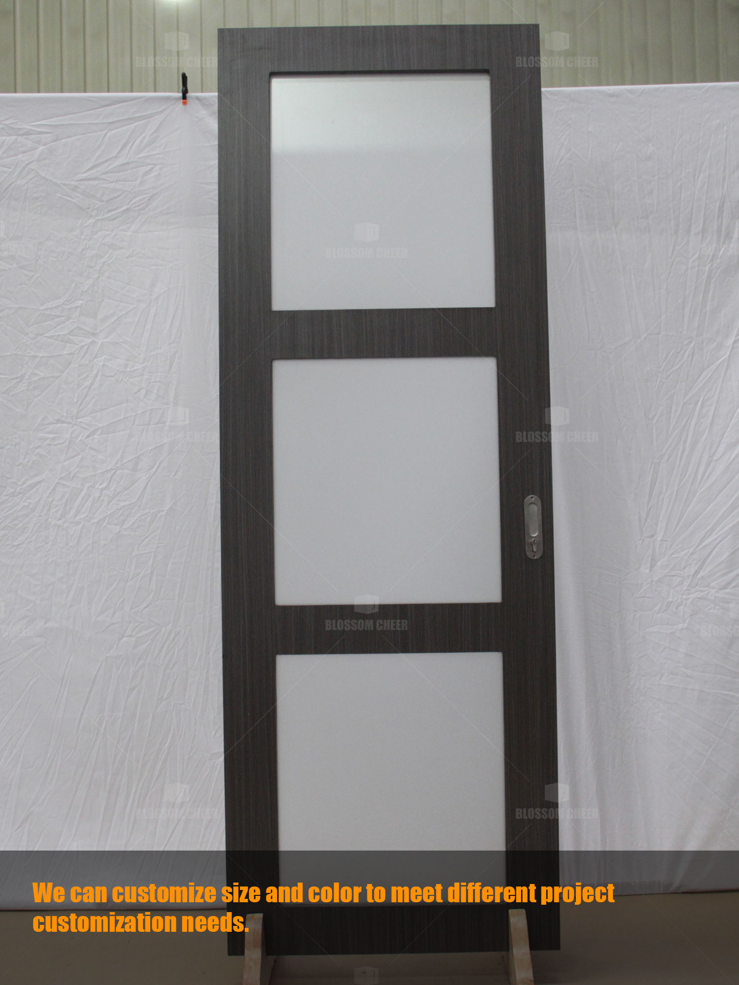 BC1456 Pocket door with glass