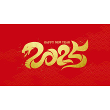 Chinese Lunar New Year Holiday Notice: Reunion Year, Happy Home