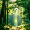Green & Healthy First: BLOSSOM CHEER Wooden Doors Meet EU CE-RoSH Certification Standards 2025