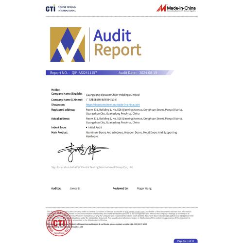 Company Audit Report (QIP-ASI2411157)