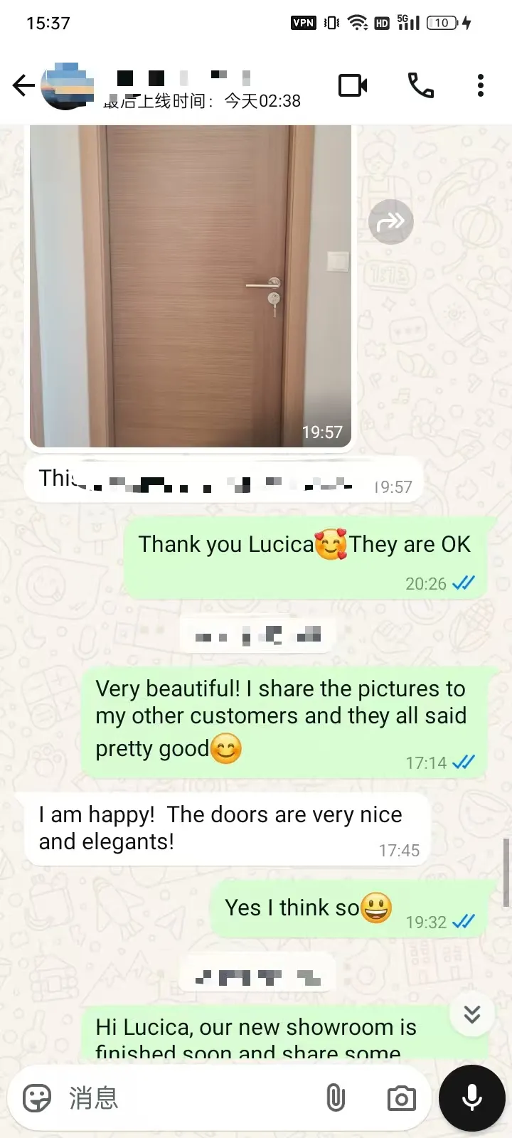 Wood Veneer Paint Door