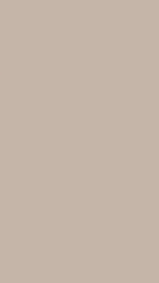 ZX Khaki paint-free flat panel color sample