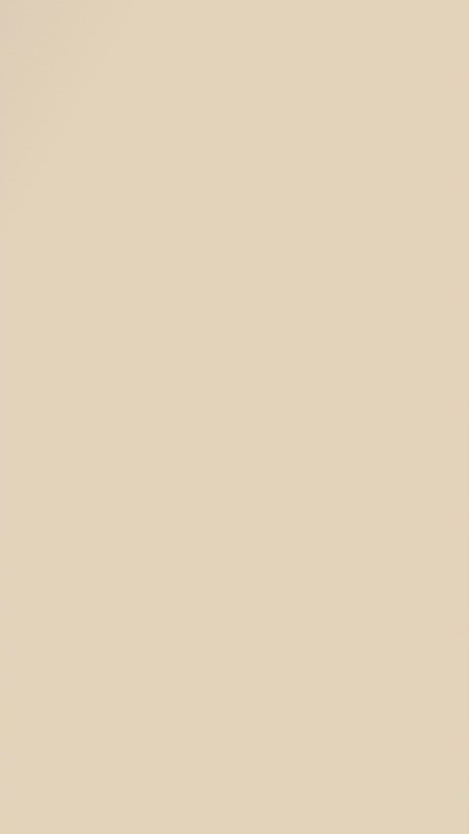 ZX Milk Coffee paint-free flat panel color sample