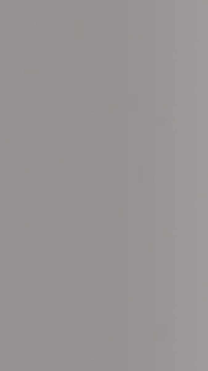 ZX Swallowtail Grey paint-free flat panel color sample