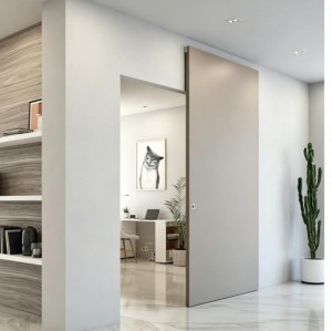 Custom Interior Ghost Door With Concealed Sliding Hardware