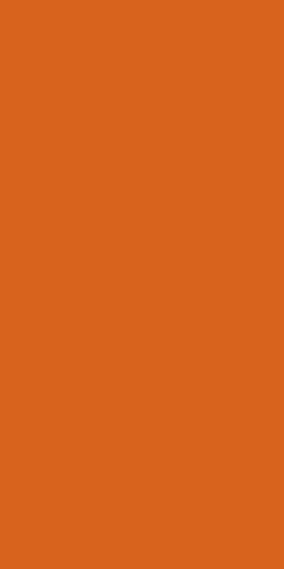 Hermes Orange (Super Dumb Skin Feeling)