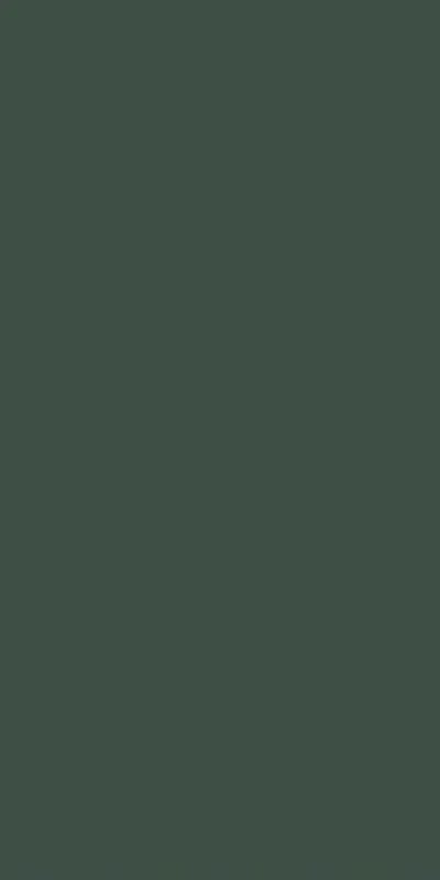 Hermes Green (Super Dumb Skin Feeling)