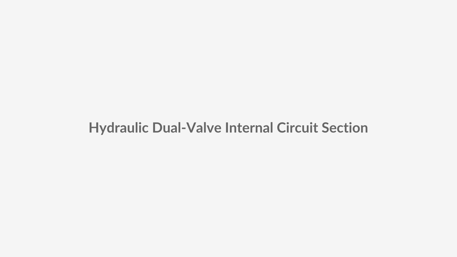 3D sectional diagram placeholder showing the internal hydraulic oil circuit, rack-and-pinion mechanism, sweep valve, latch valve and backcheck control inside a commercial hydraulic door closer