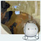 Custom Spherical Hyperbaric Chamber Planet 220 For  Multi Person Use-OXY SPACES