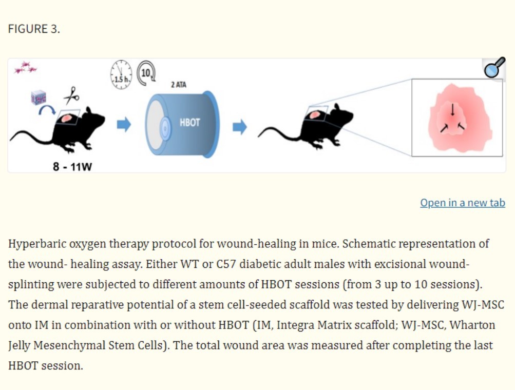 Hyperbaric Oxygen Increases Stem Cell Proliferation, Angiogenesis and Wound-Healing Ability of WJ-MSCs in Diabetic Mice