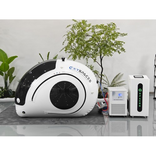 Custom Hyperbaric Chamber Space Capsule