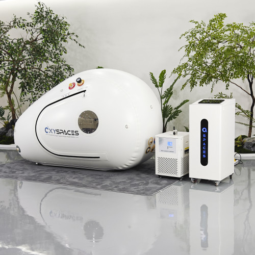 Custom Hyperbaric Chamber Business Chamber SL-240