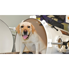 Veterinary Health & Hyperbaric Therapy