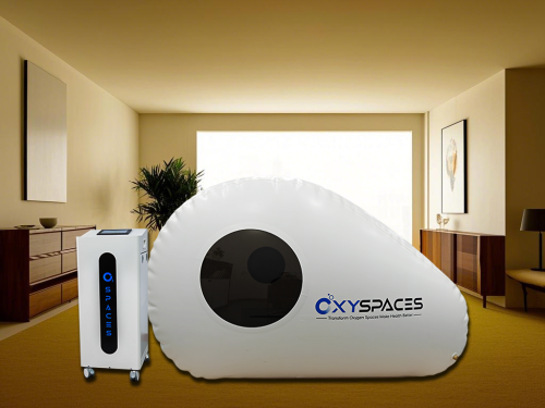 Custom Hyperbaric Chamber Business Chamber SL-240