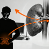 Chronic Stress, Adrenal Fatigue and Hyperbaric Oxygen Therapy