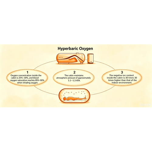 Three Essential Elements of Life: The Core Foundations of Health