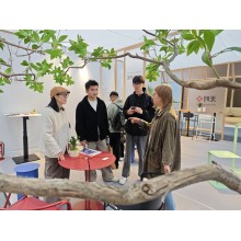 WINBALANCE from Qingdao Unveils Italian-Designed Products at Qingdao International Furniture Fair, Igniting a Health Craze in Commercial Spaces