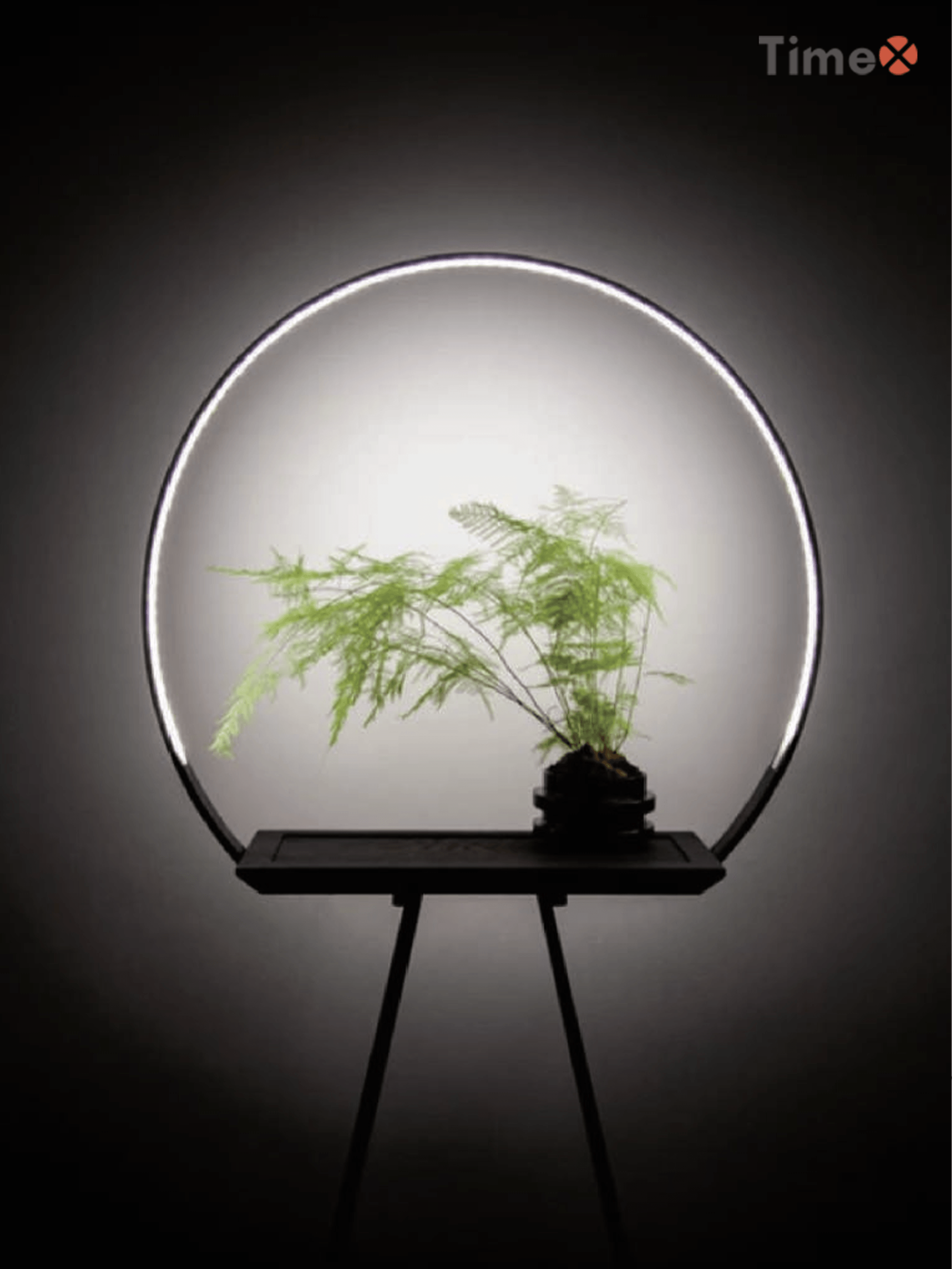 Indoor metal lamps that help plant growth