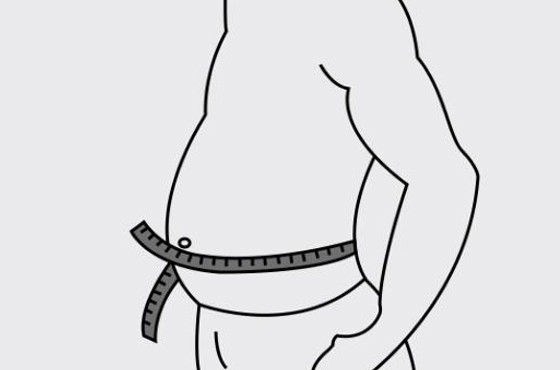 Tamaño personalizado de soportes de cintura y espalda