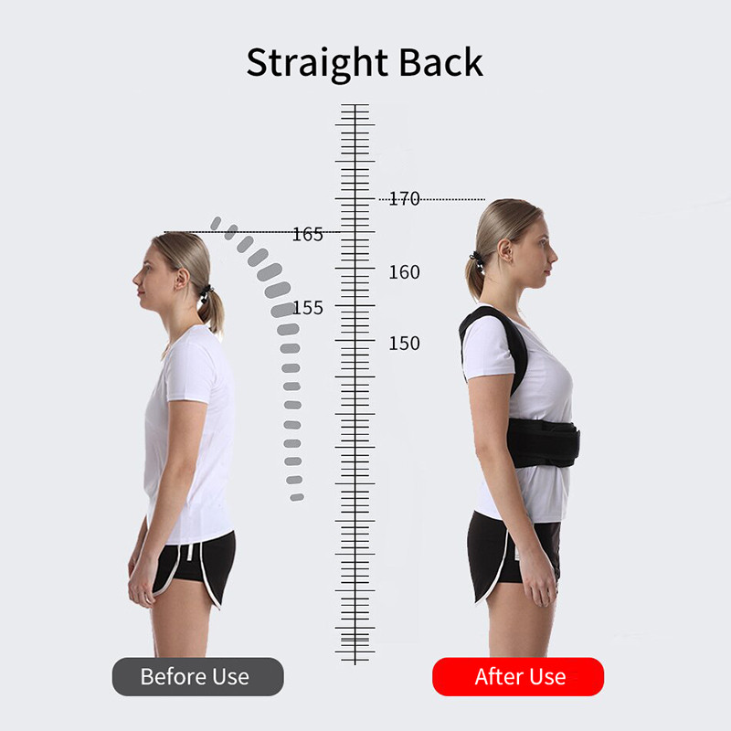 Wholesale Lumbar Back Supports Belts Back Posture Brace Supplier | Breathable, Adjustable | Metal Buckle, Thickened Webbing | For Back Pain