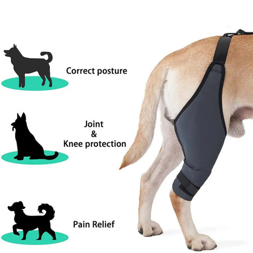 Rodillera de pierna de perro personalizada ? Cantidad mínima de pedido 300 piezas | Lesión de la articulación de la rodilla | Manga de recuperación de piernas para mascota