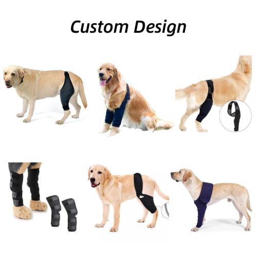 Custom Dog Leg Knee Brace | MOQ 300 Pieces | Knee Joint Injury | Leg Recovery Sleeve for Pet