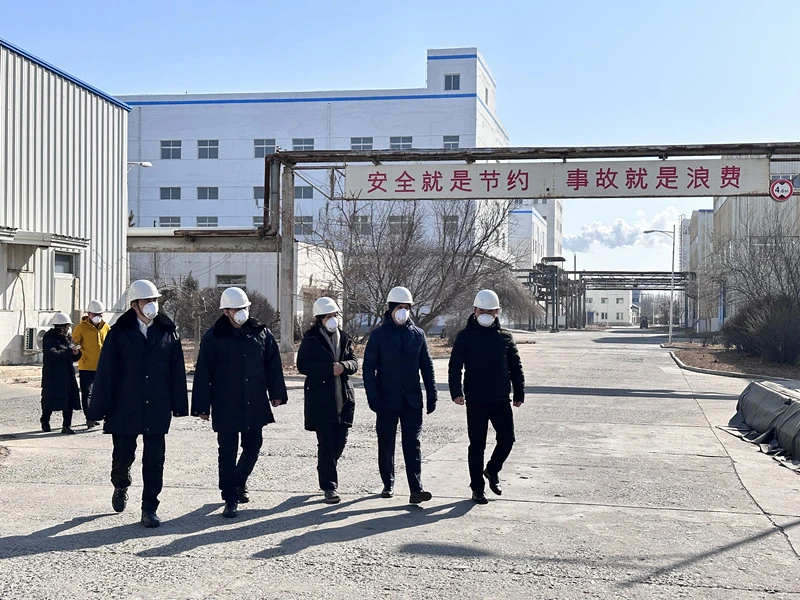 Audit and Visit of  SYAMCAT Plant