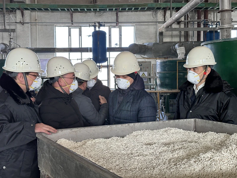 Audit and Visit of  SYAMCAT Plant