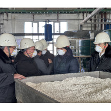 Russian Ammonia Customer Audit and Visit to SYAMCAT Plant