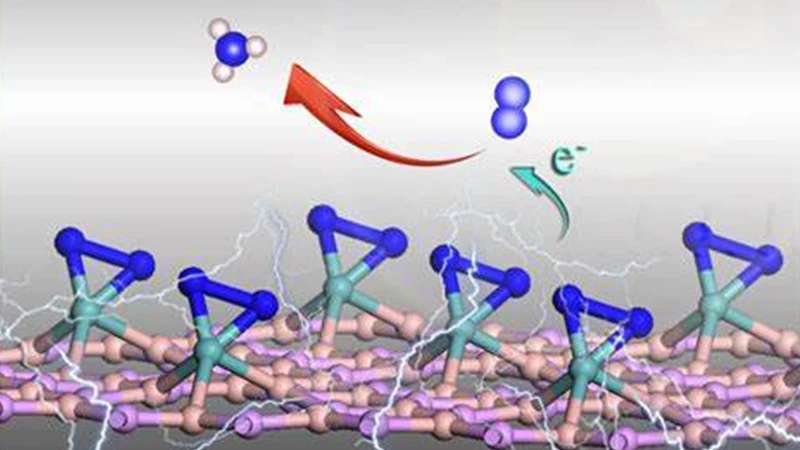 Performance of Ammonia Synthesis Catalyst