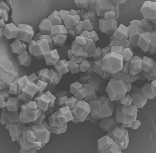 Maximizing the Service Life of Ammonia Catalysts  with Customer-Centric Innovations