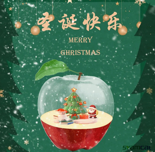 SYAMCAT Spreads Festive Cheer with Christmas Celebrations