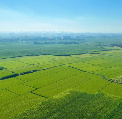 Green Ammonia Synthesis: Transformative Innovations in Sustainable Production