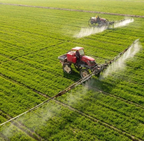 Guidance Unveiled: Navigating Optimal Ammonia Synthesis with SYAMCAT