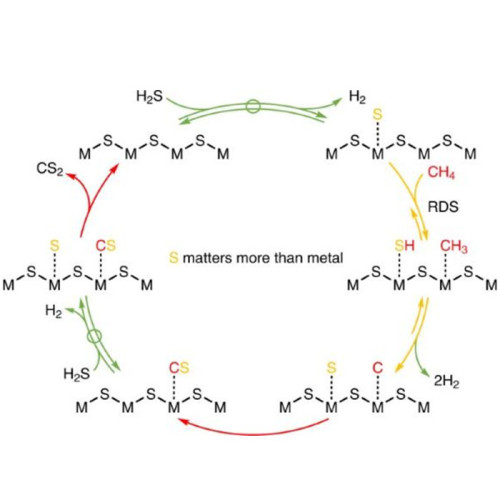 Exploring the Frontier of Methane Steam Reforming Catalyst Development