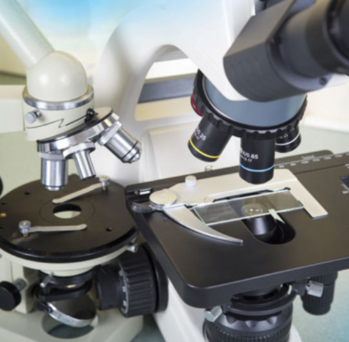 Unlock High Catalyst Activity in Steam Reforming: Syamcat's Breakthrough