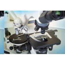 Unlock High Catalyst Activity in Steam Reforming: Syamcat's Breakthrough