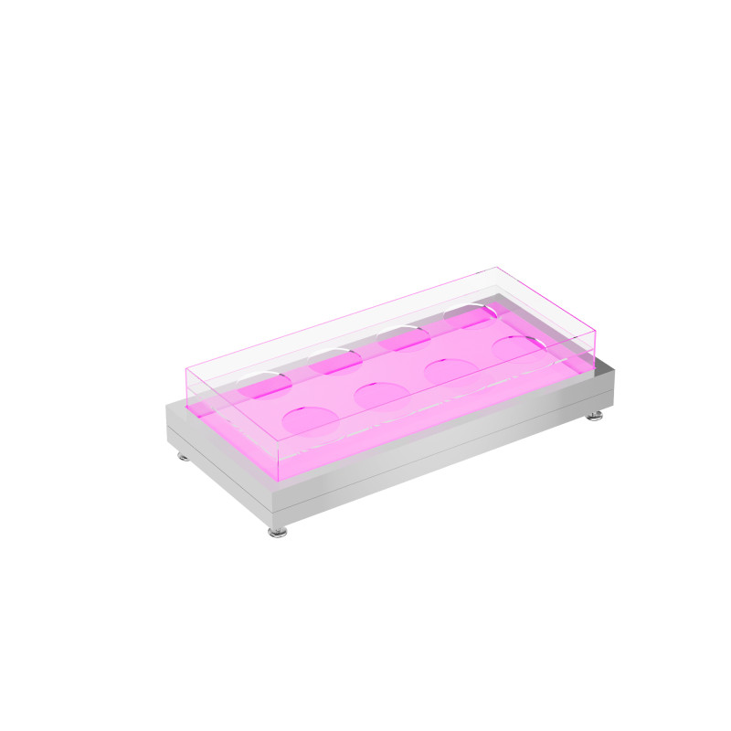 Bac à glaçons pour buffet éclairé par LED : améliorez la présentation et gardez les boissons fraîches avec style