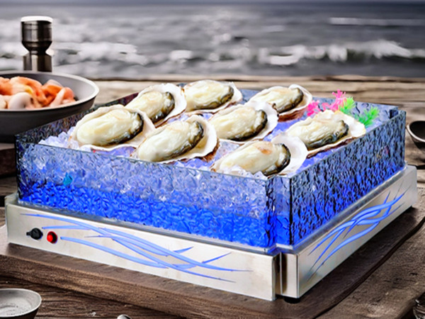Ultimate Guide to Ice Housing for Hotel Buffets | PYEIN®