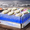 Ultimate Guide to Ice Housing for Hotel Buffets | PYEIN®