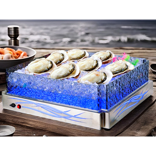 Ultimate Guide to Ice Housing for Hotel Buffets | PYEIN®
