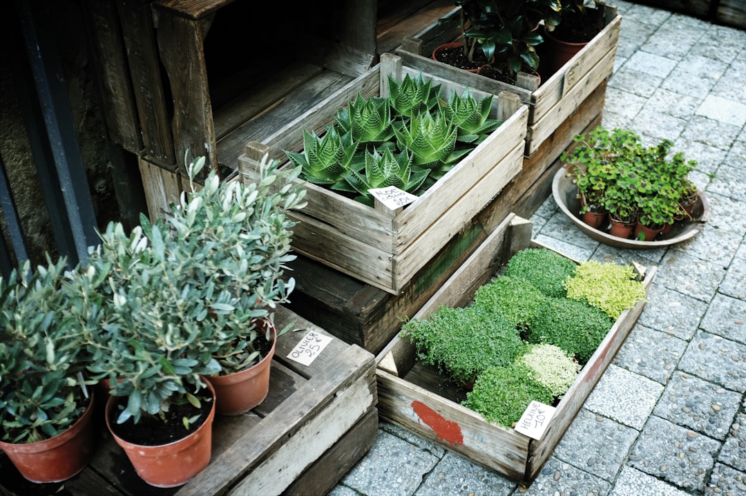 Repurposed Planter Riser