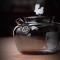 2024 New design Round Glass Teapot Grey Color High Borosilicate Glass Filter Teapot 500ml Capacity