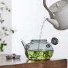 Distributors new design in 2024 factory glass stove glass teapot boilling tea with high teperature