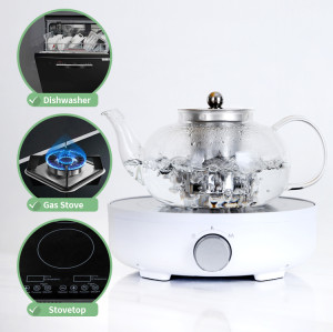 Borosilicate glass clear tea pot set with stainless infuser lid maker and tea teapot glass teapot