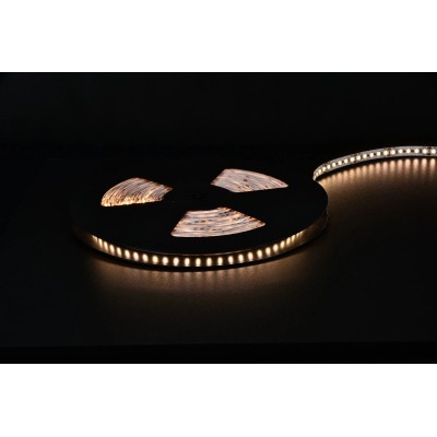 Low Voltage Christmas Light Cabinet/Ceiling/Car/Bedroom Light Strip LED Light