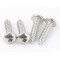 Pan Head Self Tapping Screw Stainless Steel 304 Round Head Sheet Metal Screw DIN7981