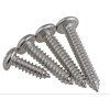 Pan Head Self Tapping Screw Stainless Steel 304 Round Head Sheet Metal Screw DIN7981