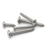 Pan Head Self Tapping Screw Stainless Steel 304 Round Head Sheet Metal Screw DIN7981