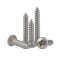 Pan Head Self Tapping Screw Stainless Steel 304 Round Head Sheet Metal Screw DIN7981